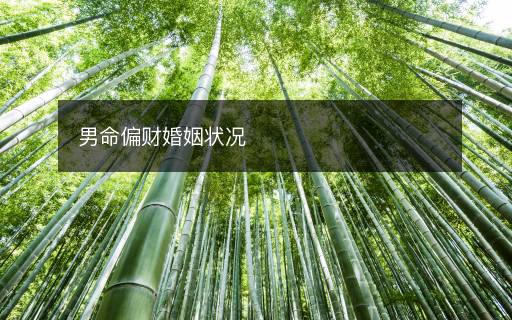 男命偏財婚姻狀況