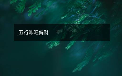 五行咋旺偏財(cái)