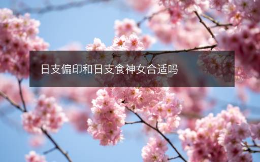 日支偏印和日支食神女合適嗎
