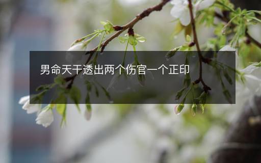 男命天干透出兩個(gè)傷官一個(gè)正印