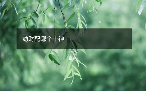 劫財配哪個十神