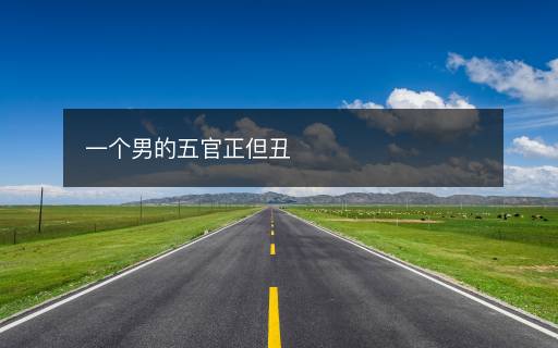 一個男的五官正但丑