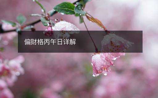 偏財(cái)格丙午日詳解