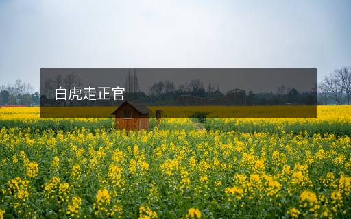 白虎走正官
