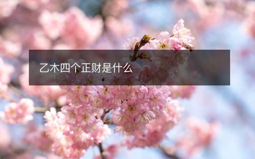 乙木四個(gè)正財(cái)是什么