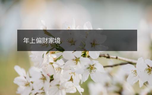 年上偏財(cái)家境