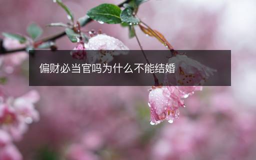偏財(cái)必當(dāng)官嗎為什么不能結(jié)婚