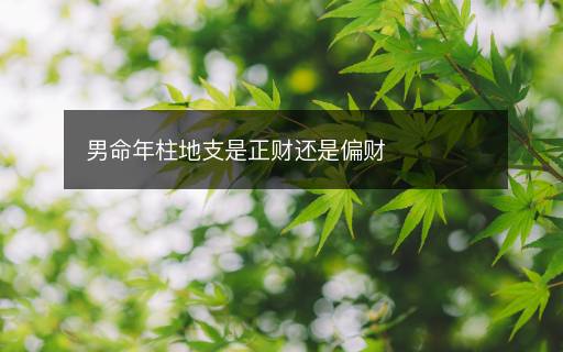男命年柱地支是正財還是偏財