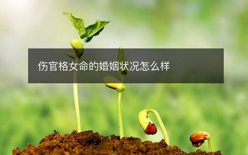 傷官格女命的婚姻狀況怎么樣