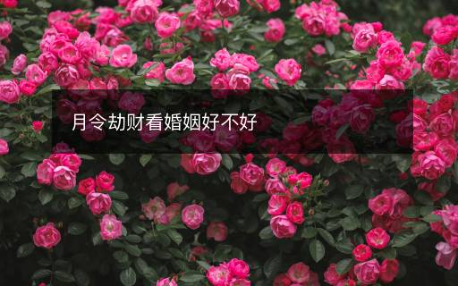 月令劫財(cái)看婚姻好不好