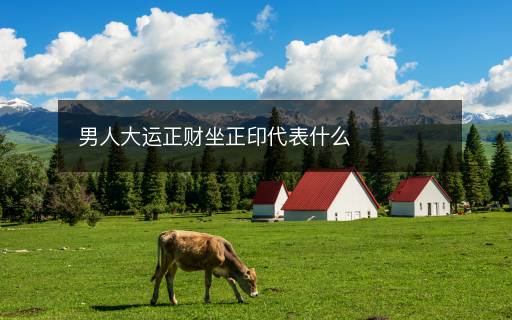 男人大運(yùn)正財(cái)坐正印代表什么