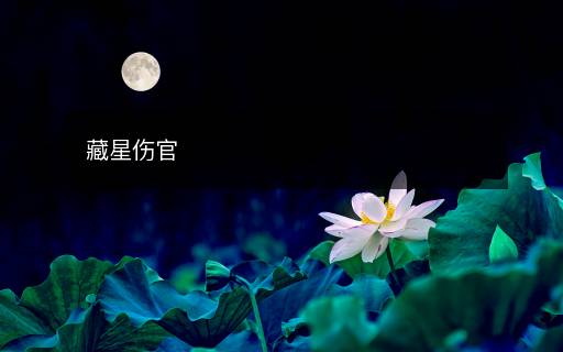 藏星傷官