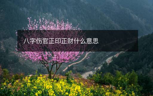 八字傷官正印正財什么意思