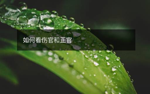 如何看傷官和正官