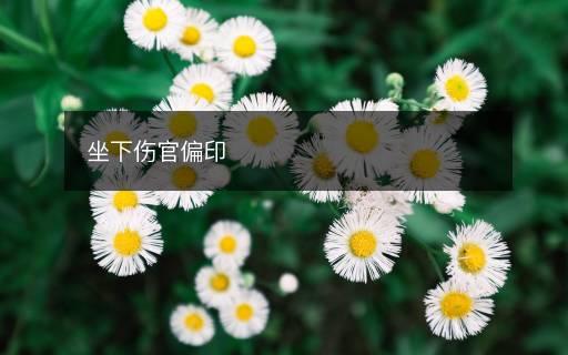 坐下傷官偏印