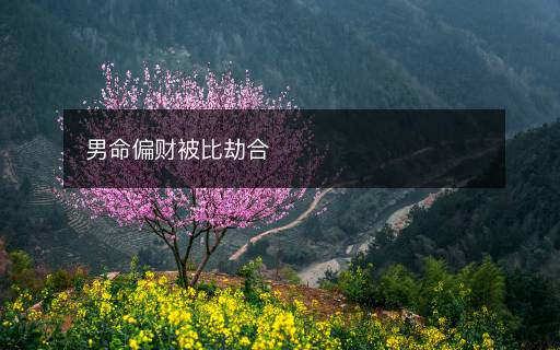 男命偏財被比劫合