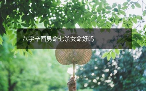 八字辛酉男命七殺女命好嗎