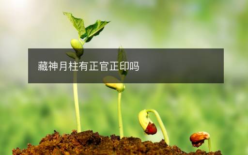 藏神月柱有正官正印嗎