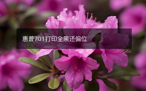 惠普701打印全黑還偏位