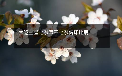大運(yùn)主星七殺藏干七殺偏印比肩
