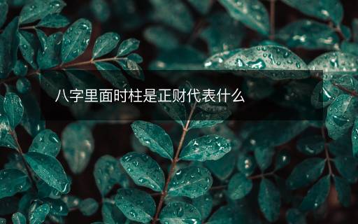 八字里面時(shí)柱是正財(cái)代表什么