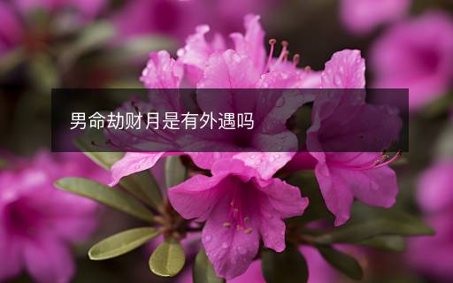 男命劫財(cái)月是有外遇嗎
