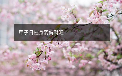 甲子日柱身弱偏財旺