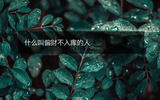 什么叫偏財(cái)不入庫的人