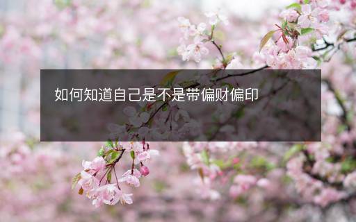 如何知道自己是不是帶偏財偏印