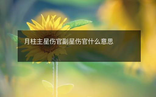 月柱主星傷官副星傷官什么意思