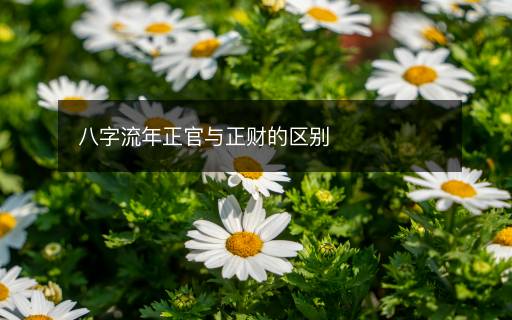 八字流年正官與正財(cái)?shù)膮^(qū)別
