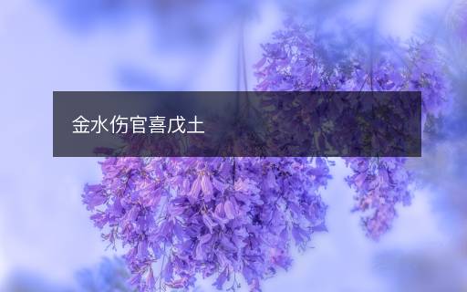 金水傷官喜戊土