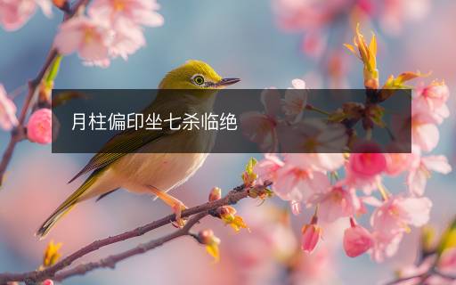 月柱偏印坐七殺臨絕