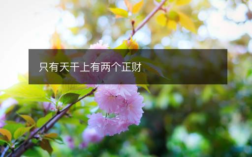 只有天干上有兩個正財