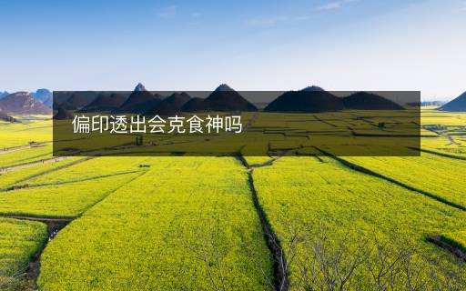 偏印透出會克食神嗎