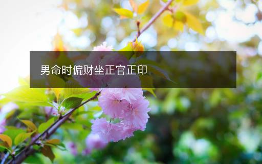 男命時(shí)偏財(cái)坐正官正印