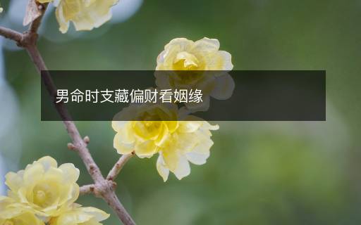 男命時支藏偏財看姻緣