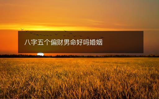 八字五個偏財男命好嗎婚姻