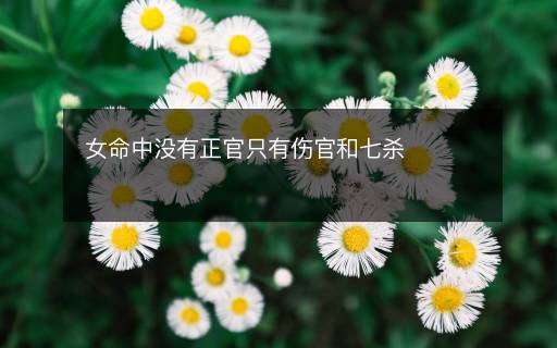 女命中沒有正官只有傷官和七殺