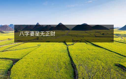 八字妻星無正財(cái)