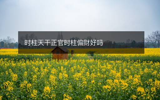 時(shí)柱天干正官時(shí)柱偏財(cái)好嗎