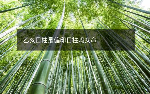 乙亥日柱是偏印日柱嗎女命