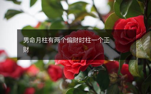 男命月柱有兩個(gè)偏財(cái)時(shí)柱一個(gè)正財(cái)