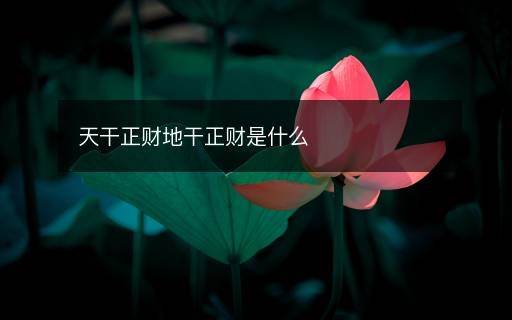 天干正財(cái)?shù)馗烧?cái)是什么