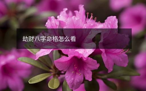 劫財八字命格怎么看