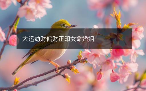 大運(yùn)劫財(cái)偏財(cái)正印女命婚姻