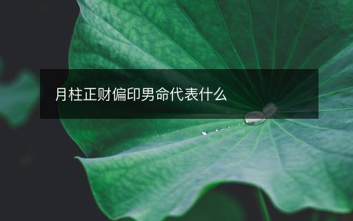 月柱正財偏印男命代表什么