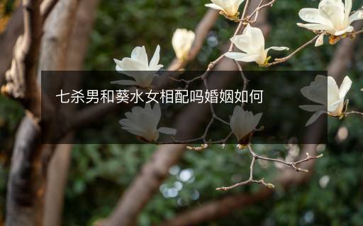 七殺男和葵水女相配嗎婚姻如何