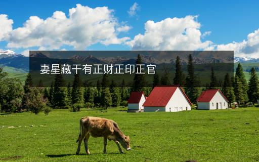 妻星藏干有正財正印正官