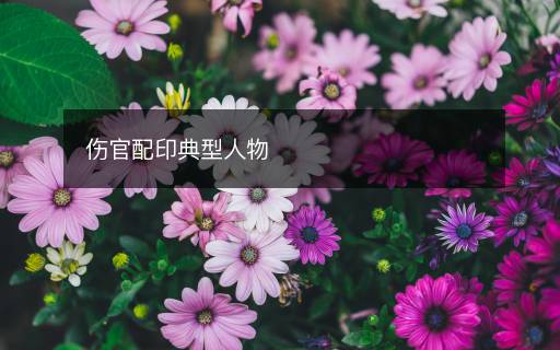 傷官配印典型人物